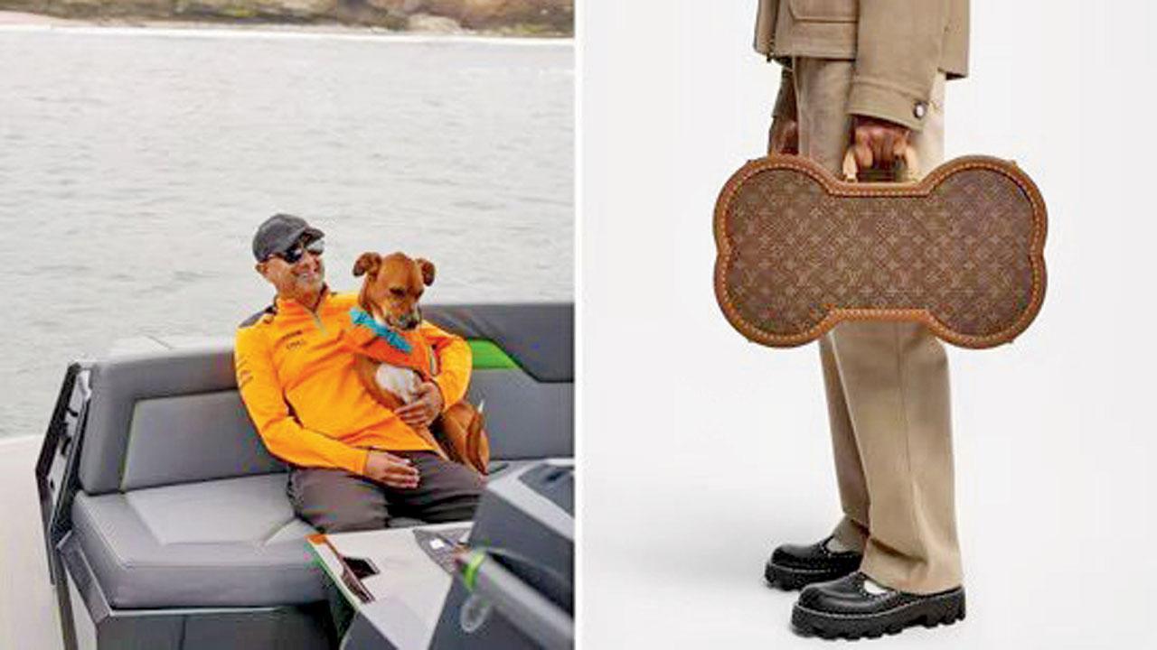 ‘બોન ટ્રન્ક’ નામની ૧૪ લાખ રૂપિયાની સૂટકેસ ખરીદી