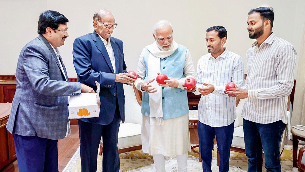 ગઈ કાલે દિલ્હીમાં દાડમના ખેડૂતો સાથે વડા પ્રધાન નરેન્દ્ર મોદીને મળ્યા શરદ પવાર.