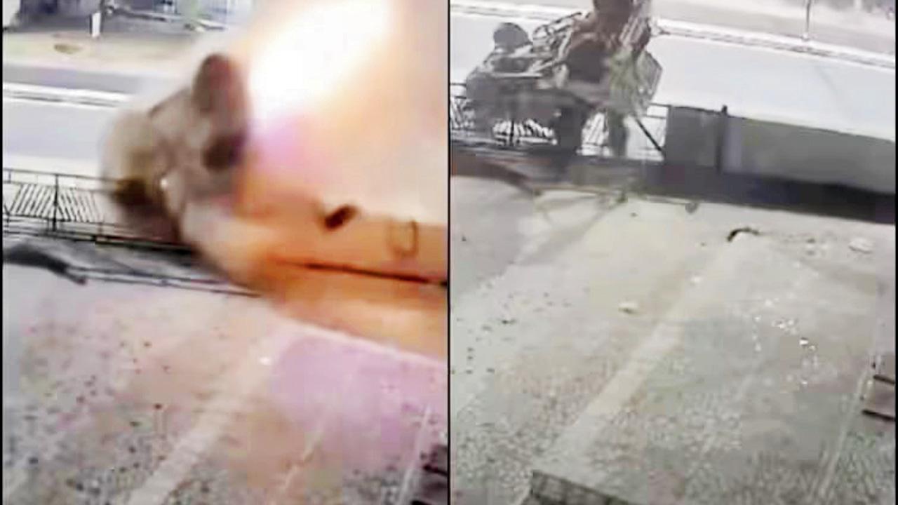 તસવીર સૌજન્ય : સોશ્યલ મીડિયા