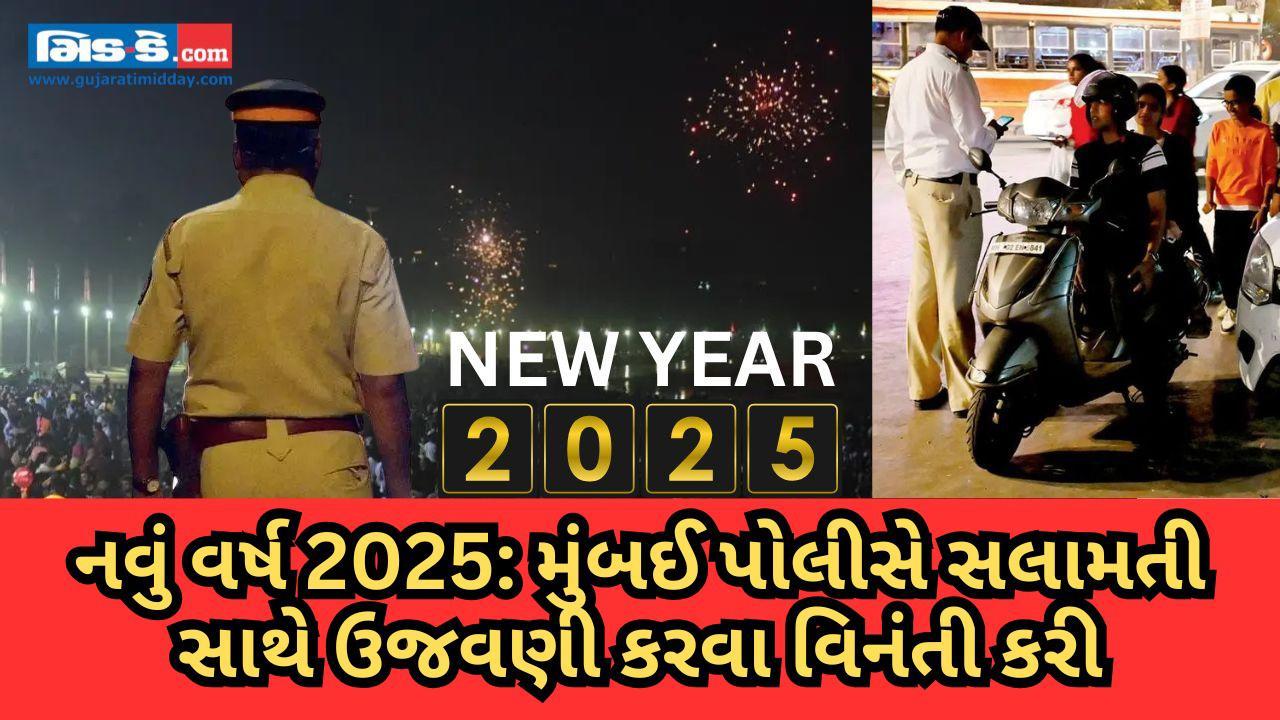 નવા વર્ષની ઉજવણી સલામત રીતે થાત તે માટે નવી મુંબઈ પોલીસની મેગા ચેક પોસ્ટની યોજના