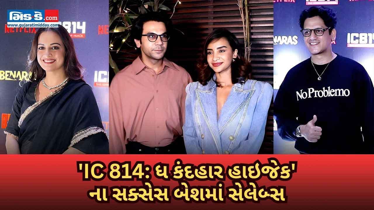 `IC 814: ધ કંદહાર હાઇજેક`ની સક્સેસ પાર્ટીમાં સ્ટાર કાસ્ટ સાથે પહોંચ્યા આ સેલેબ્સ