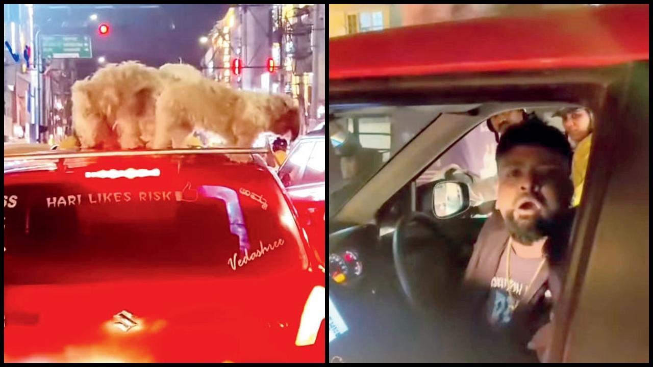 હૅર-સ્ટાઇલિસ્ટ હરીશ શહેરના ગીચ વિસ્તાર ગણાતા કલ્યાણનગરમાં કારની છત પર કૂતરાં રાખીને નીકળ્યો