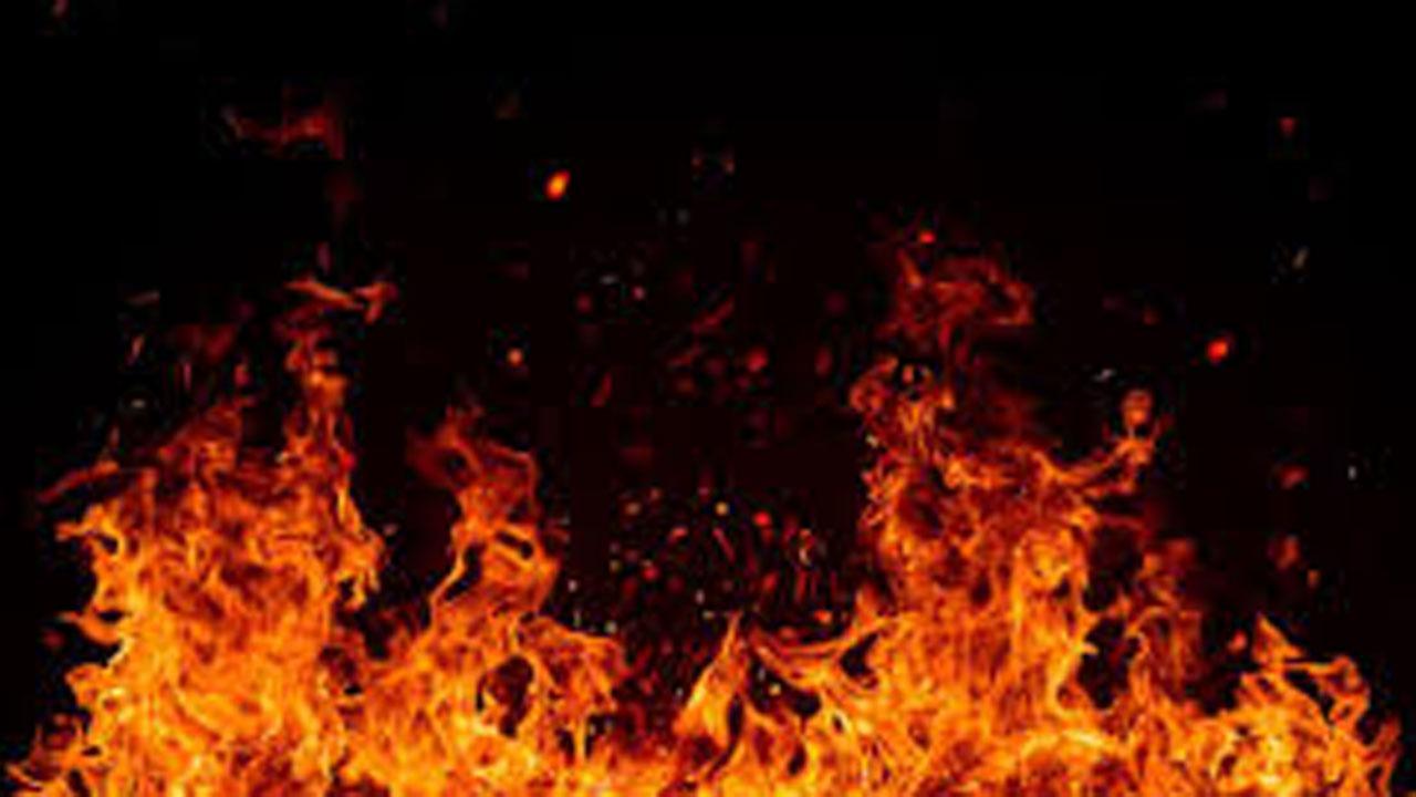 પ્રતીકાત્મક ફાઈલ તસવીર