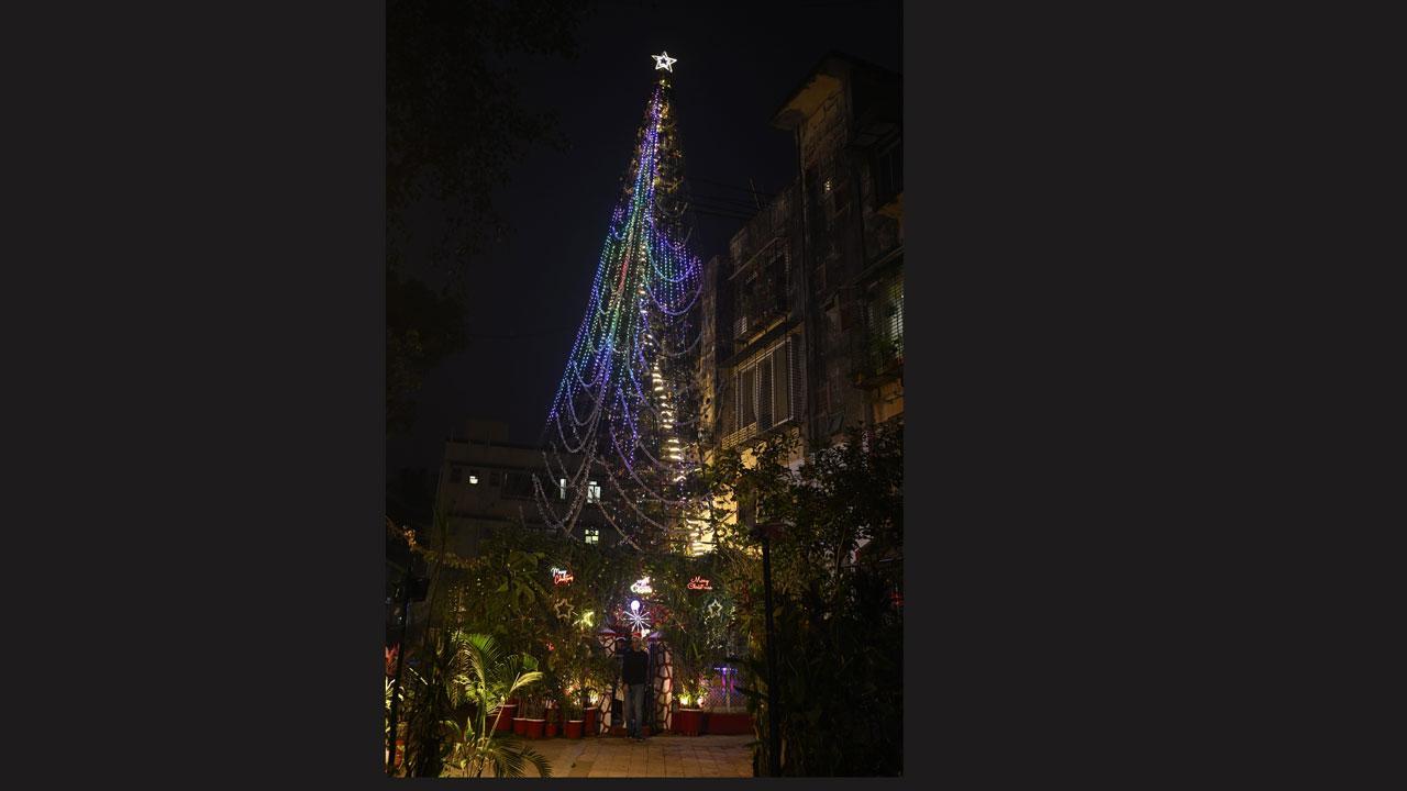 વર્લ્ડનું સૌથી ઊંચું ક્રિસમસ ટ્રી