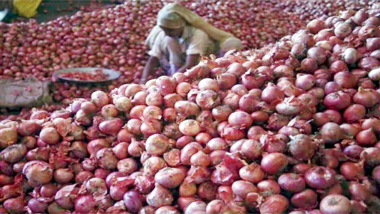 કાંદાની પ્રતીકાત્મક તસવીર