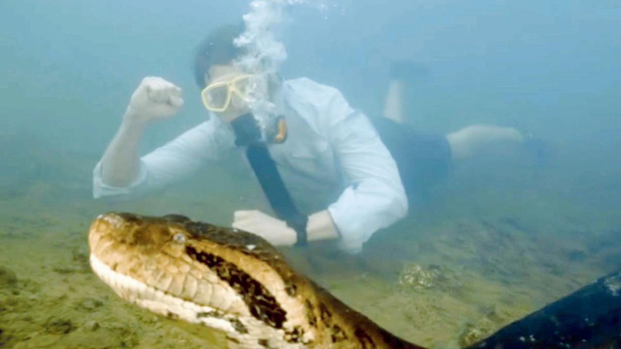 દુનિયાનો સૌથી મોટો સાપ