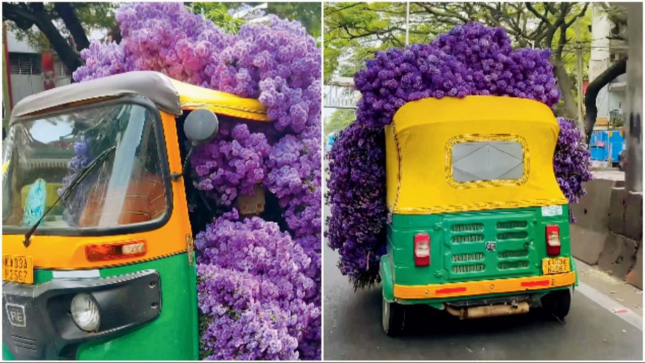વાઇરલ વિડિયોની તસવીર 