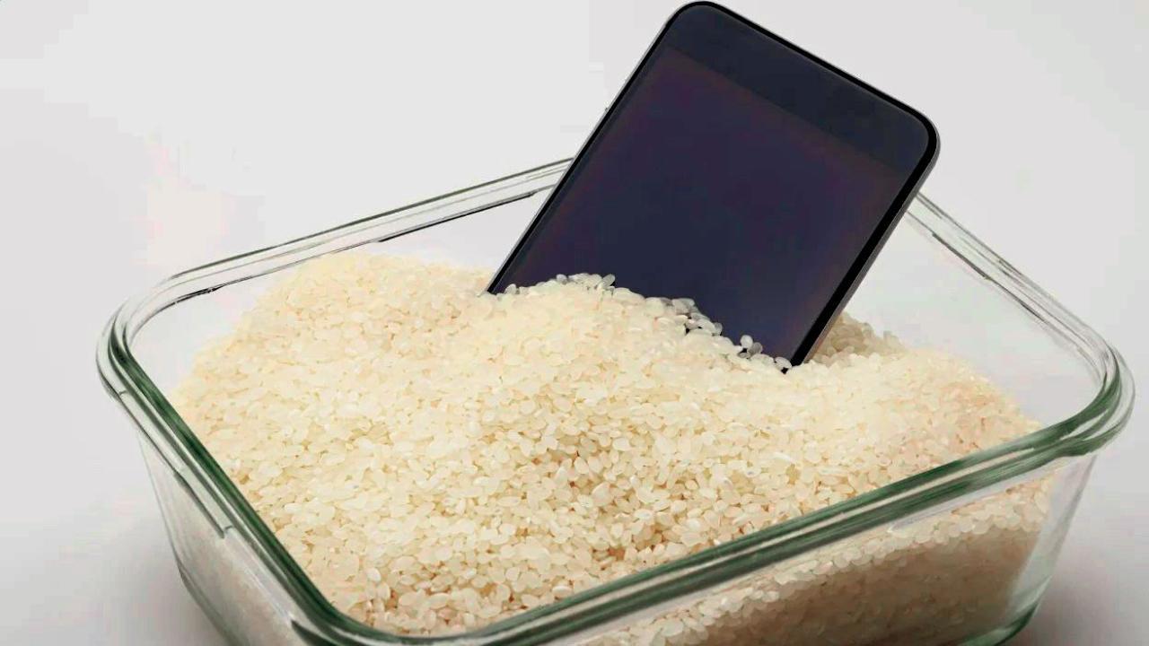 પ્રતીકાત્મક તસવીર 