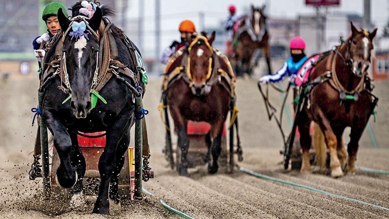 પ્રતીકાત્મક તસવીર 