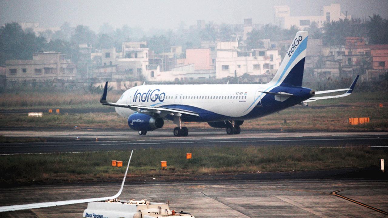 પ્રતીકાત્મક તસવીર