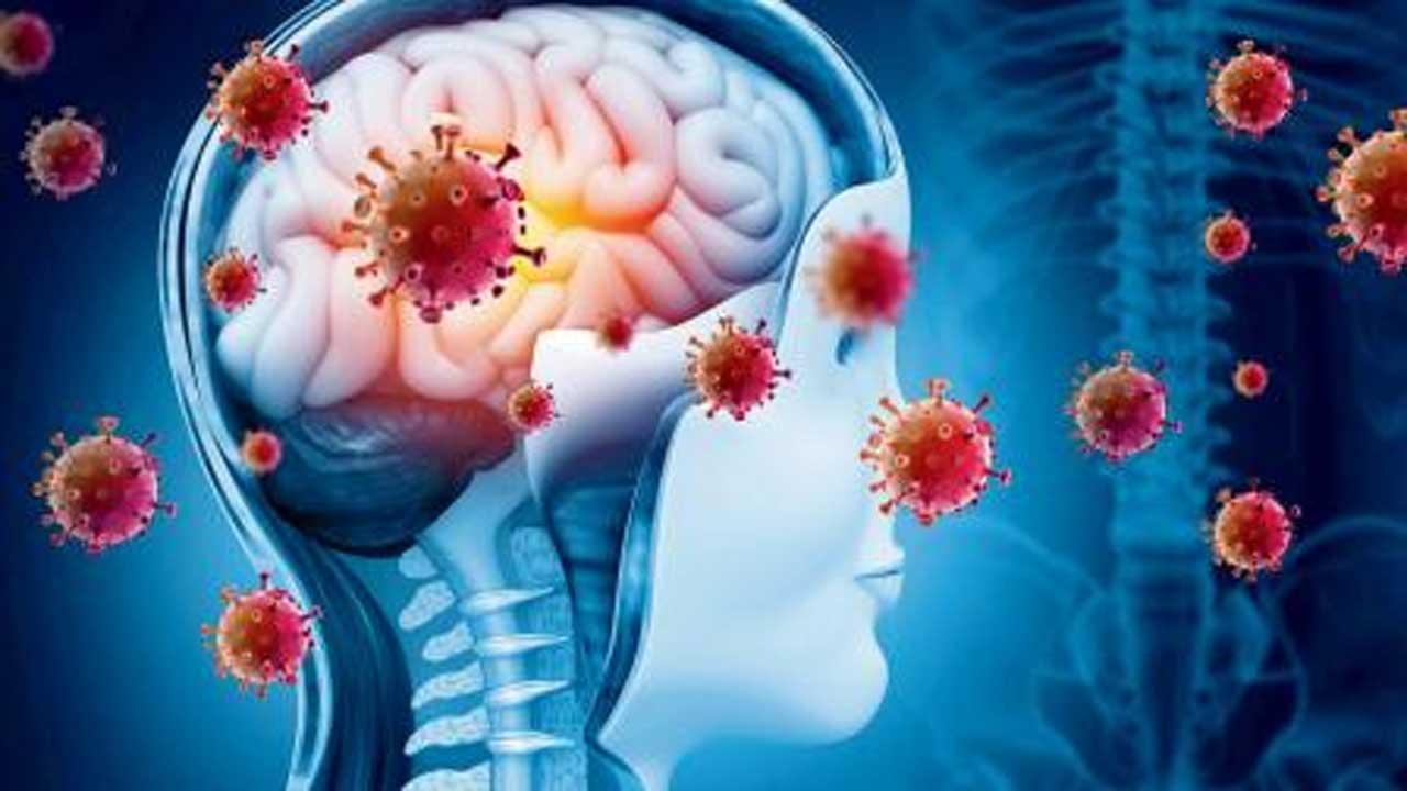 પ્રતીકાત્મક તસવીર