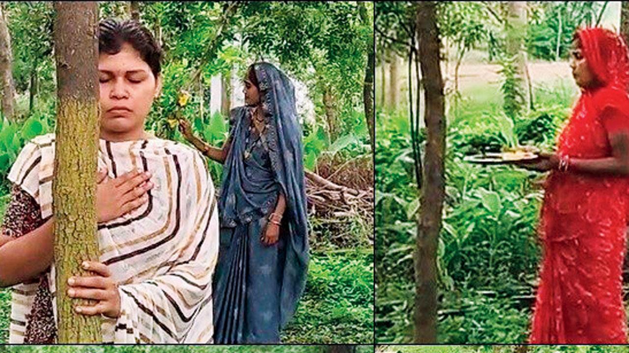 વૃક્ષ અને સ્ત્રીઓ