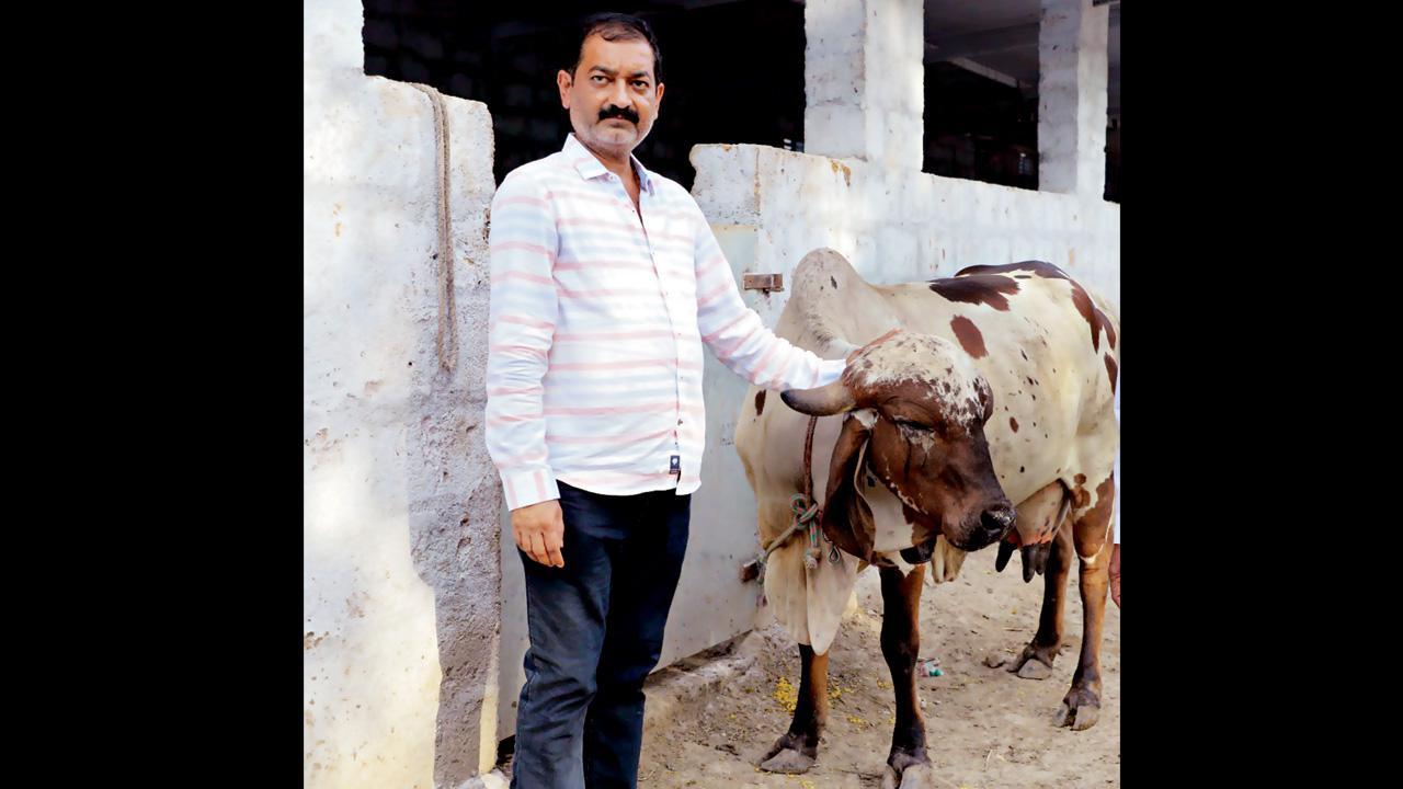 હિતેન શેઠ