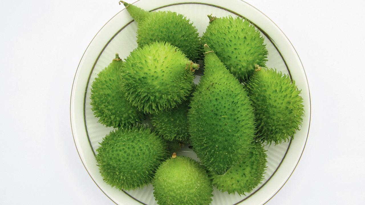 પ્રતીકાત્મક તસવીર