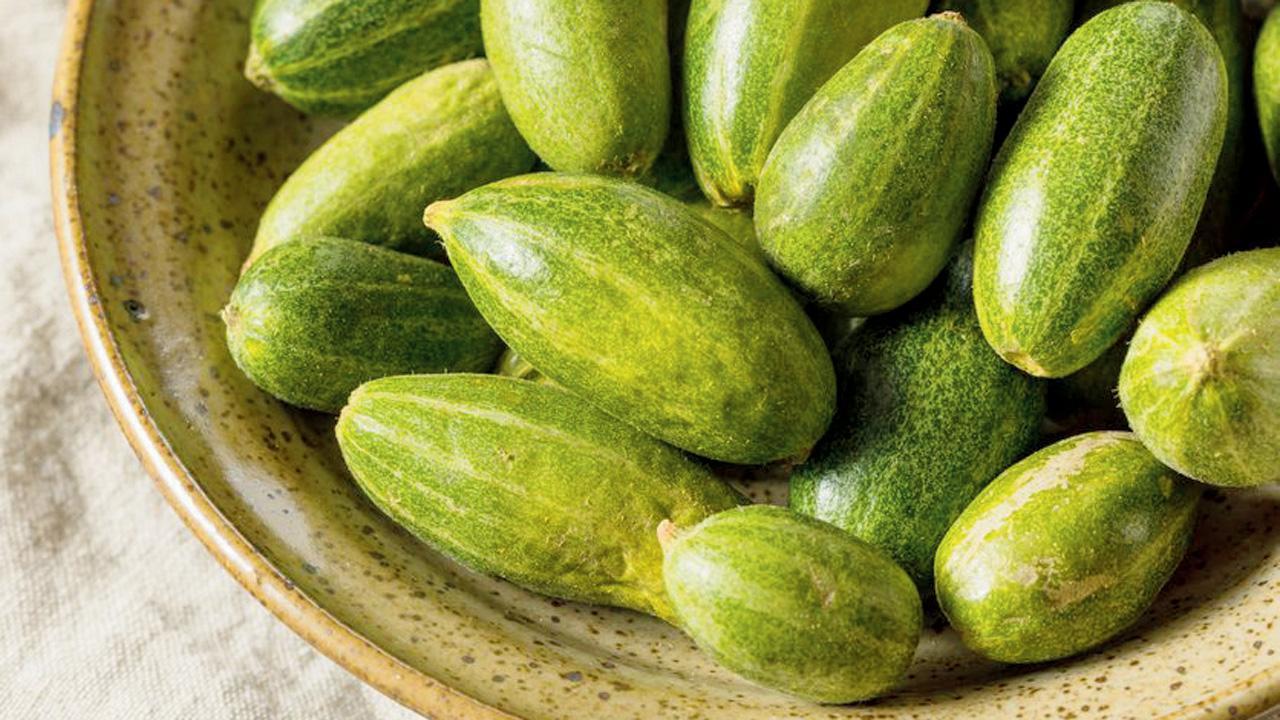 પ્રતીકાત્મક તસવીર