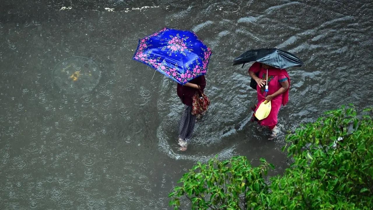 પ્રતીકાત્મક તસવીર