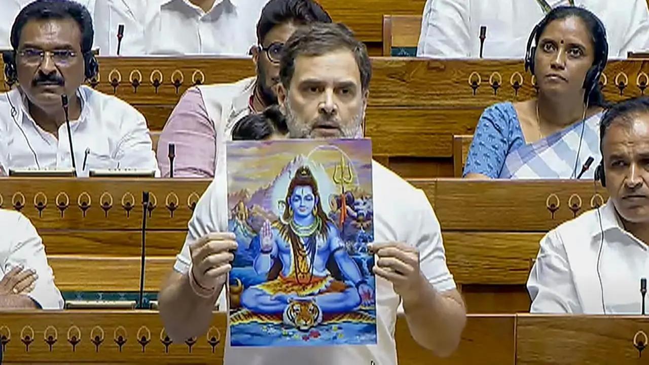 સંસદમાં રાહુલ ગાંધી. (તસવીર: પીટીઆઈ)