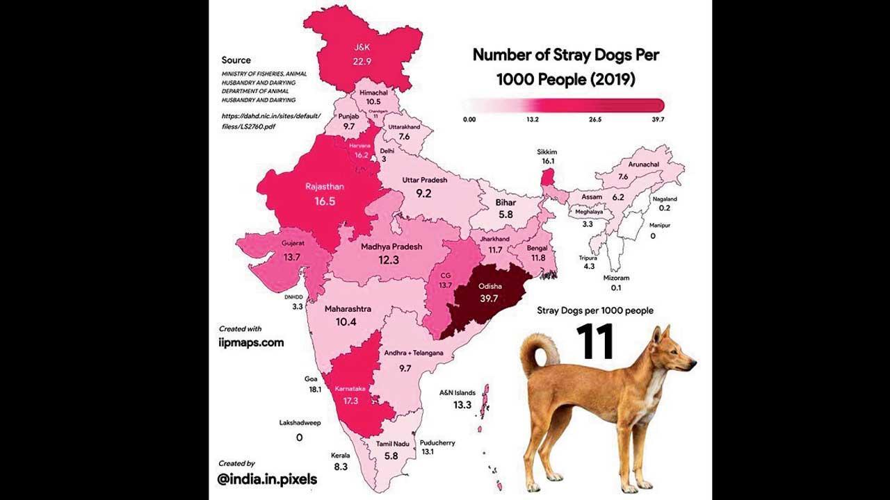 ભારતના દરેક રાજ્યમાં પ્રત્યેક ૧૦૦૦ માણસ દીઠ કેટલા રખડતા કૂતરા છે એની યાદી