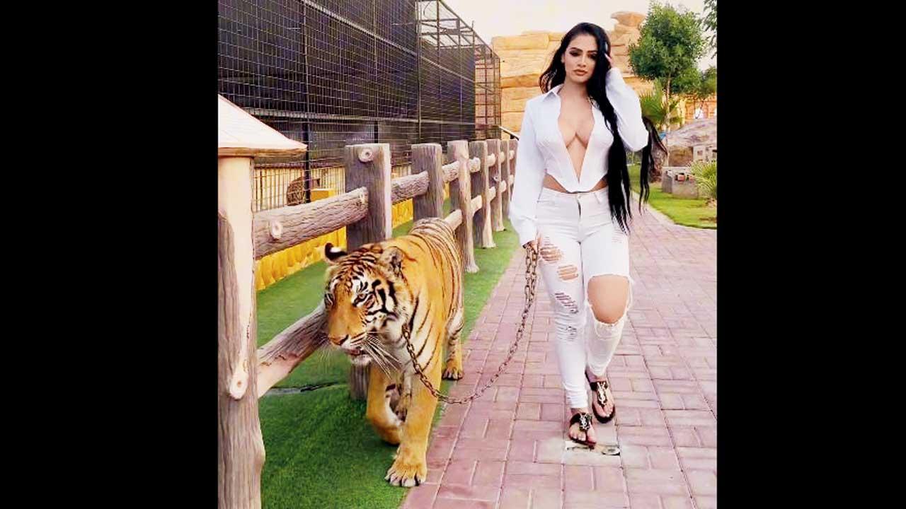 પ્રતીકાત્મક ફાઇલ તસવીર