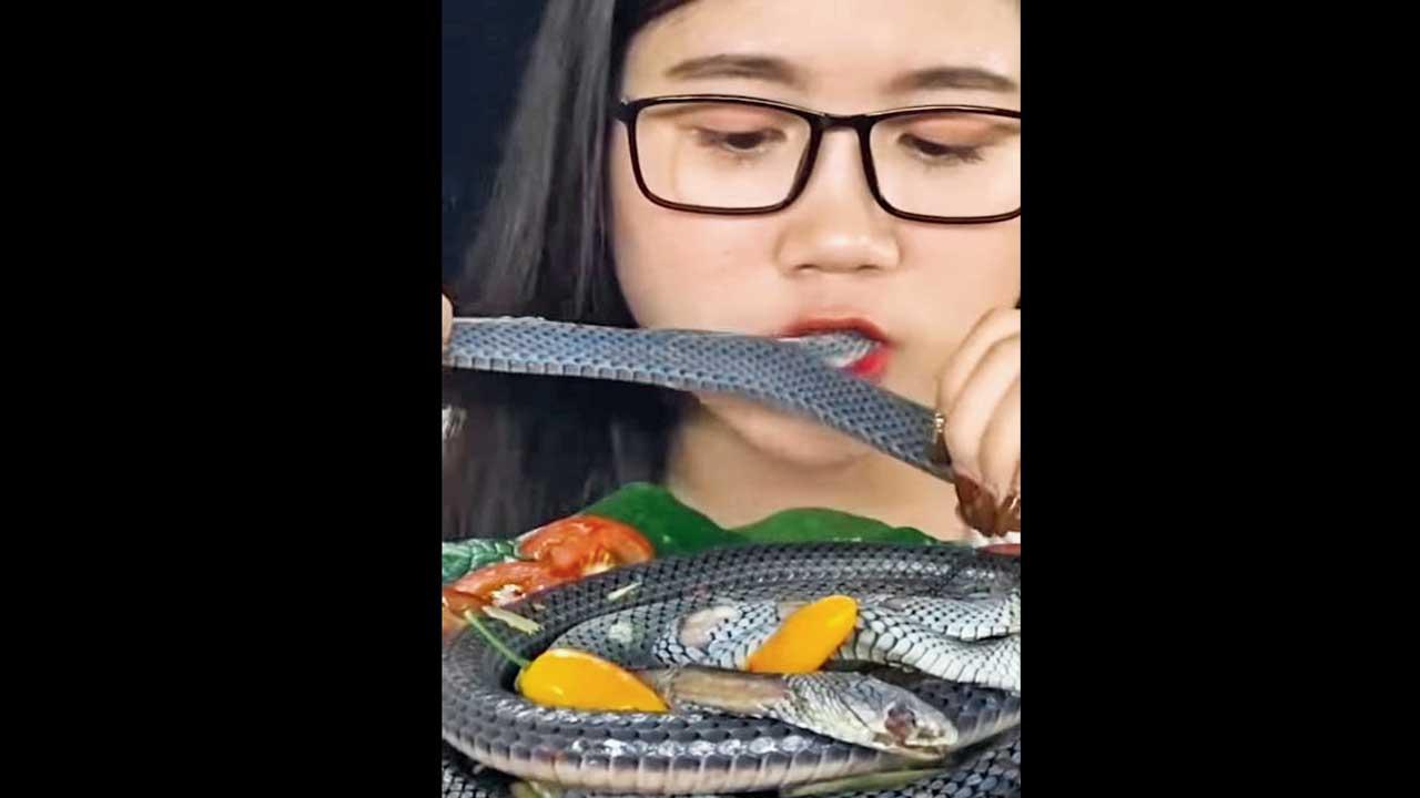 સાપ ખાનારી સ્ત્રી