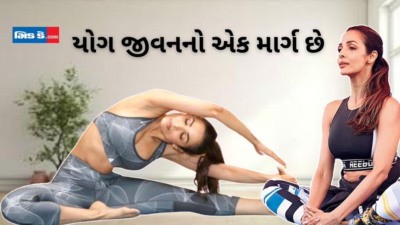 International Yoga Day 2024: ફિટ અને ફેબ બૉડી માટે મલાઈકા અરોરાનું માર્ગદર્શન