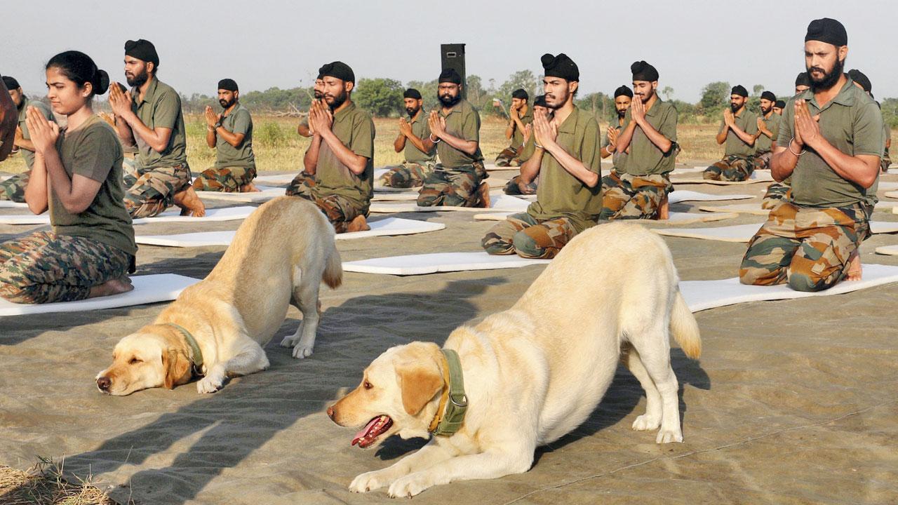 આર્મીના ડૉગીઓને પણ યોગનો નાદ લાગ્યો