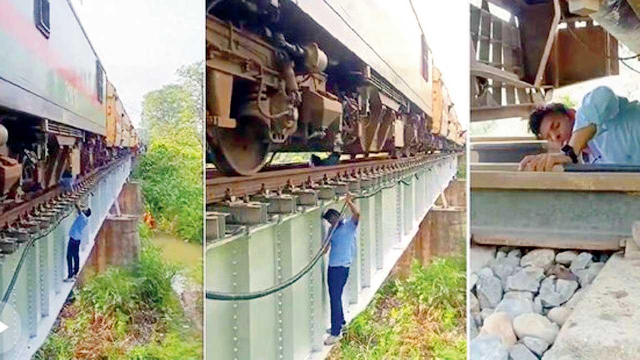 વાયરલ વીડિયોમાંથી સ્ક્રીન શૉટ