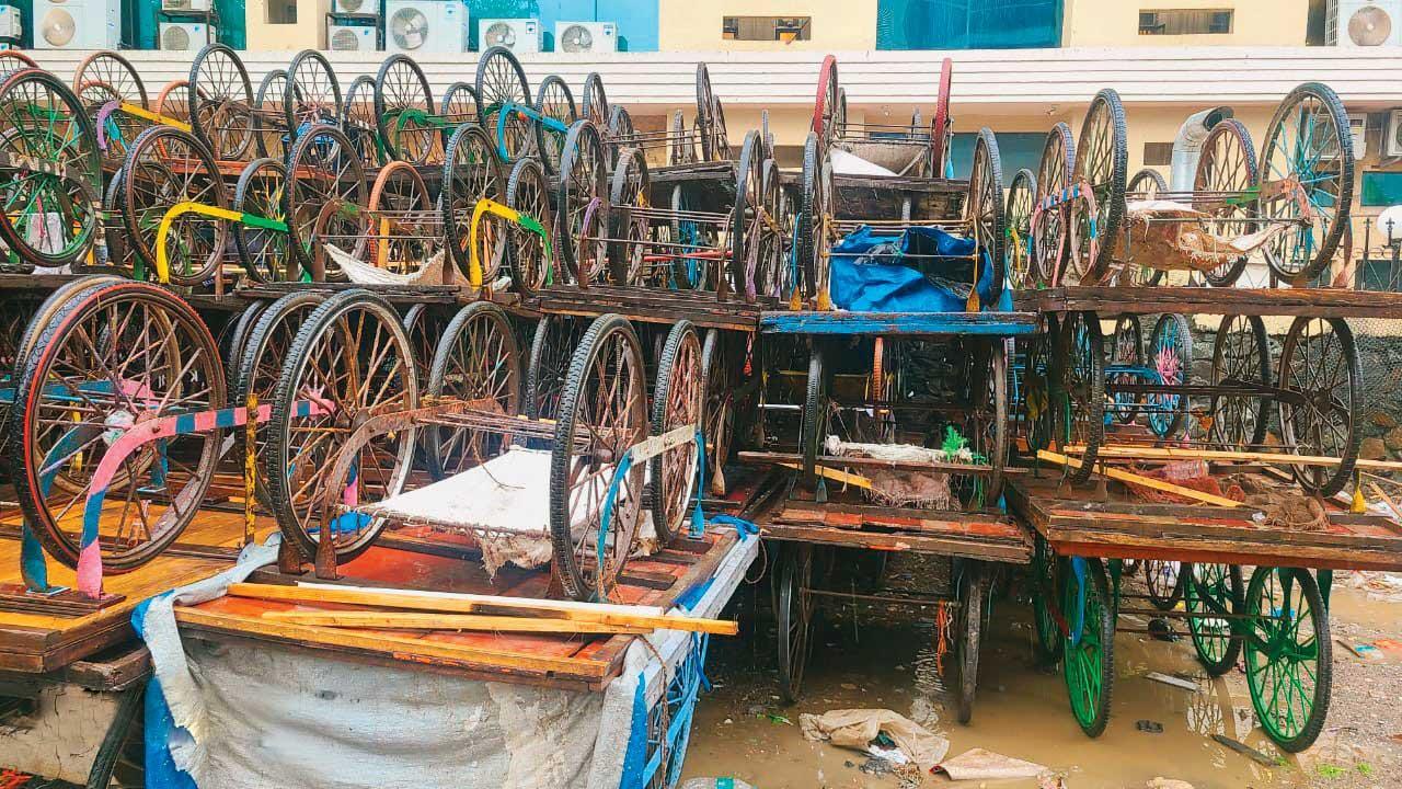 જપ્ત કરવામાં આવેલી હાથગાડીઓ