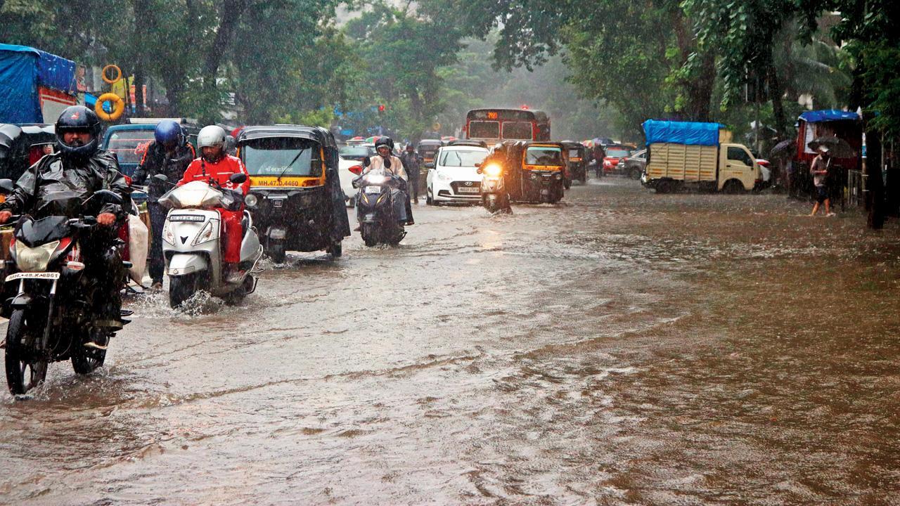 ફાઇલ તસવીર