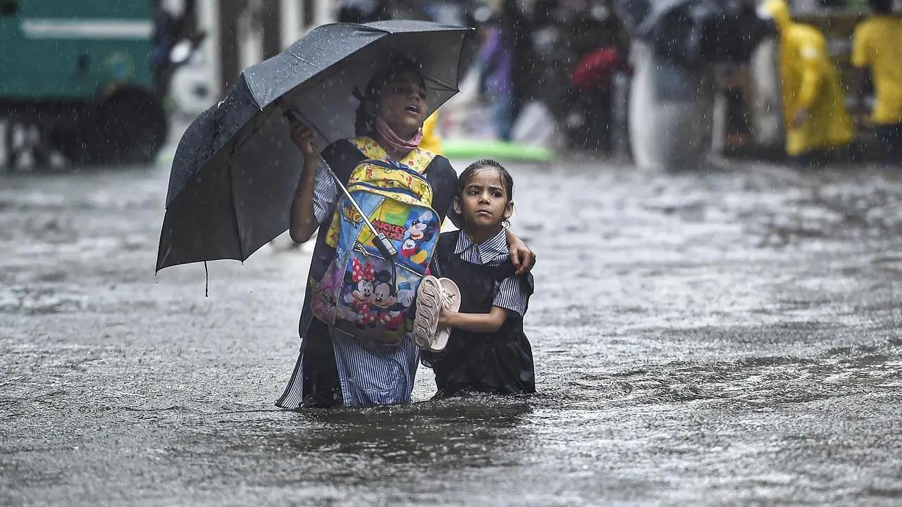 પ્રતીકાત્મક તસવીર