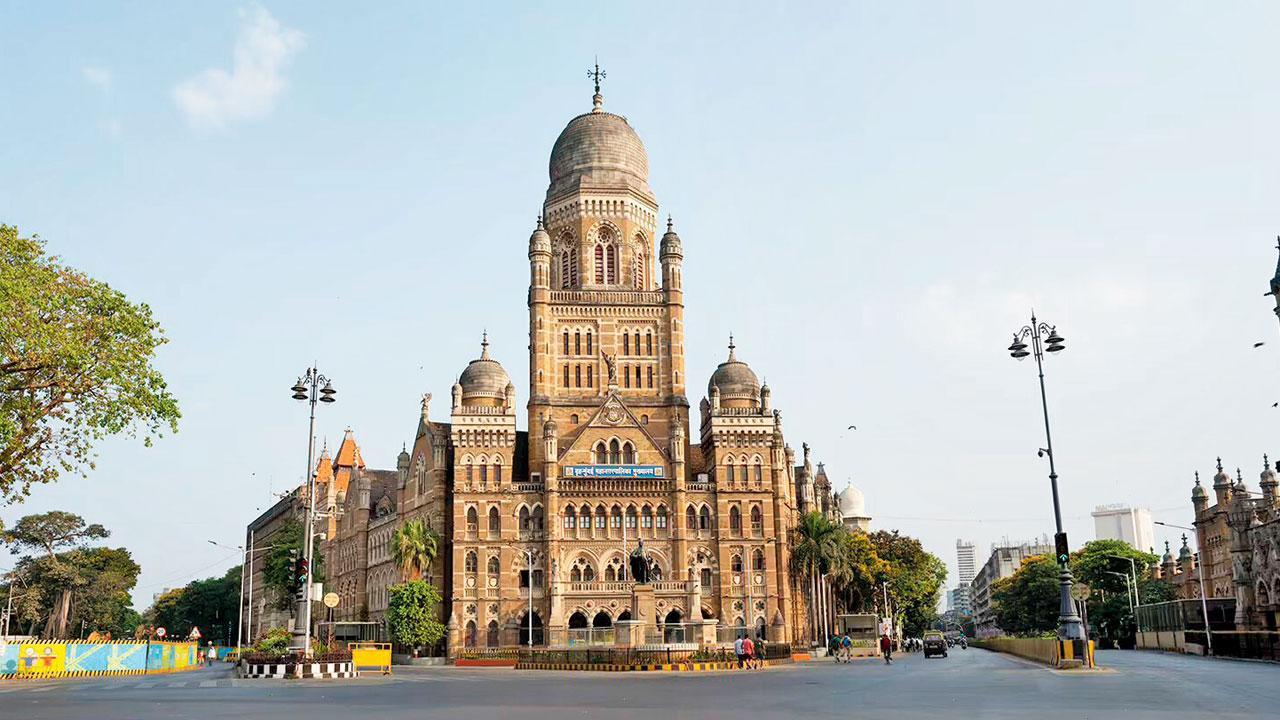 ફાઇલ તસવીર