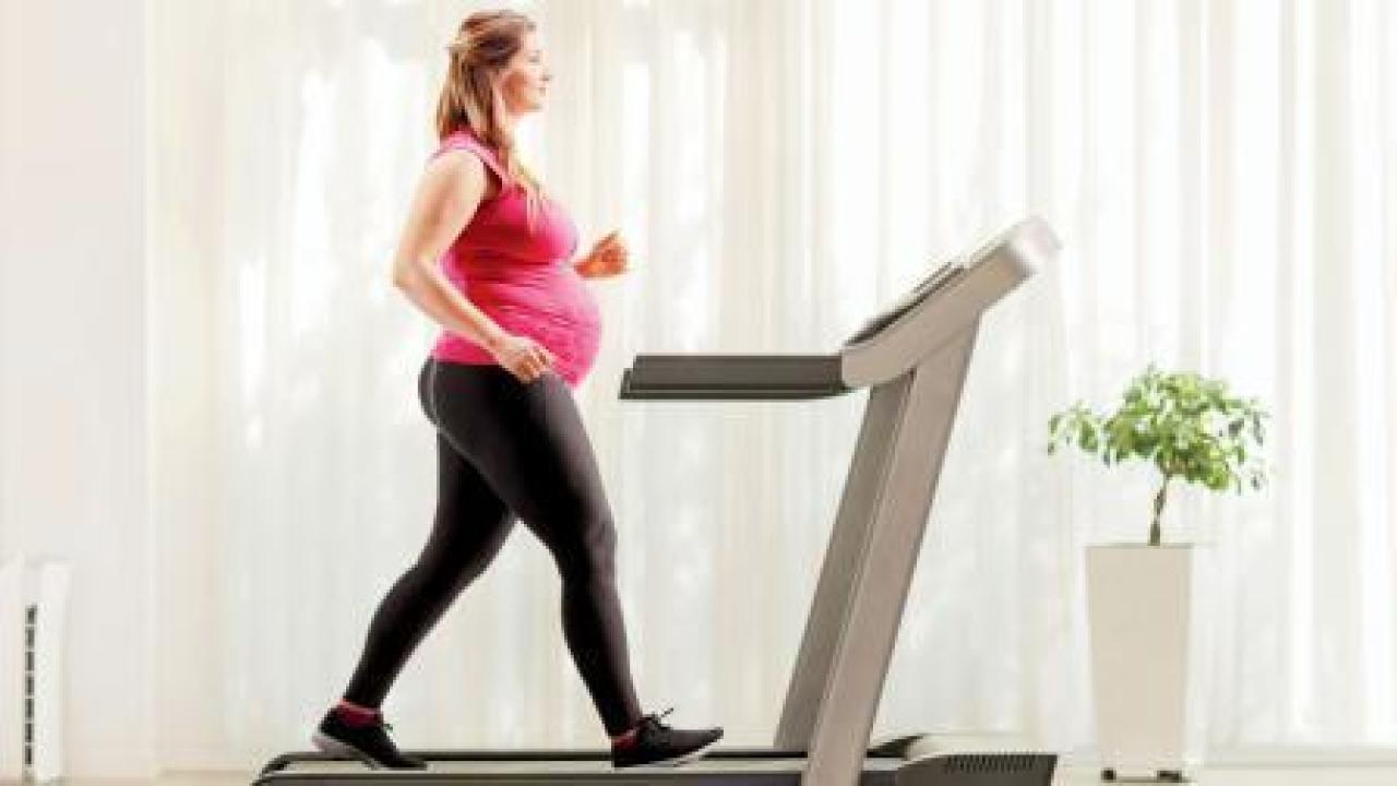 પ્રતીકાત્મક તસવીર 