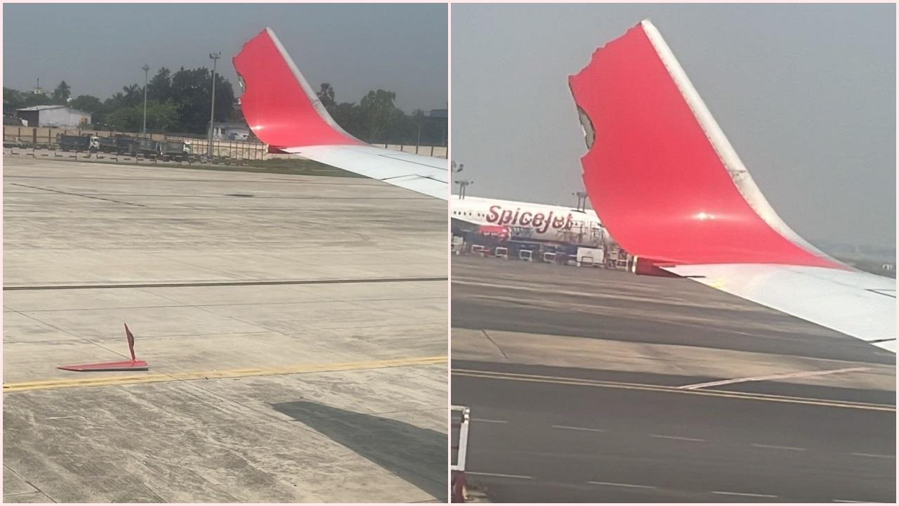 તસવીર સૌજન્ય ટ્વિટર