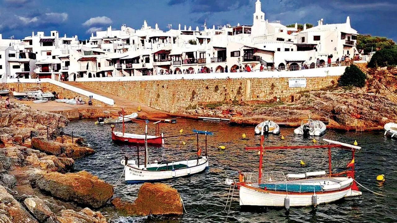 વાઇરલ વિડિયોની તસવીર 