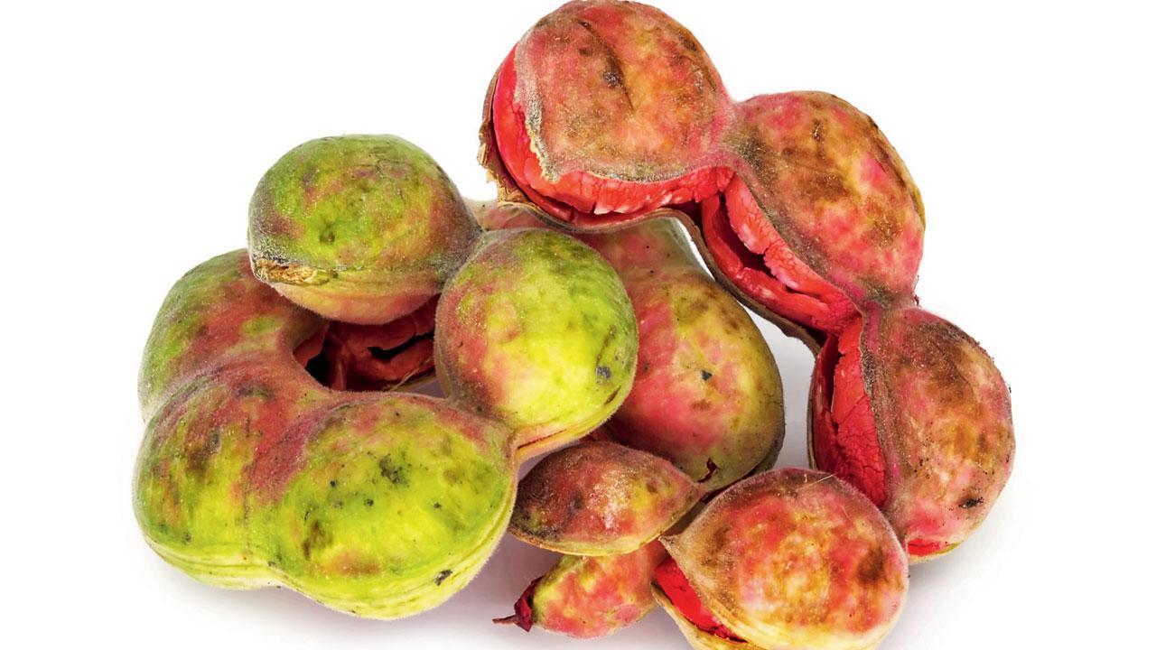 ગોરસ આમલી