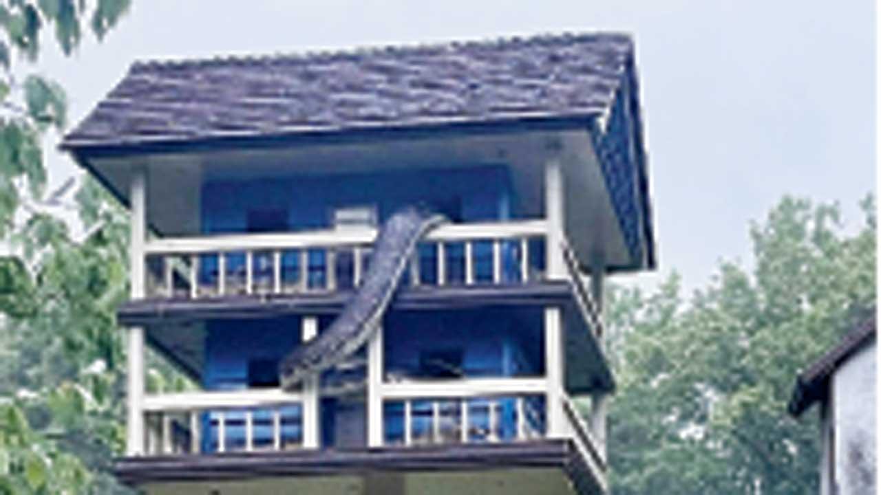 વાયરલ તસવીર