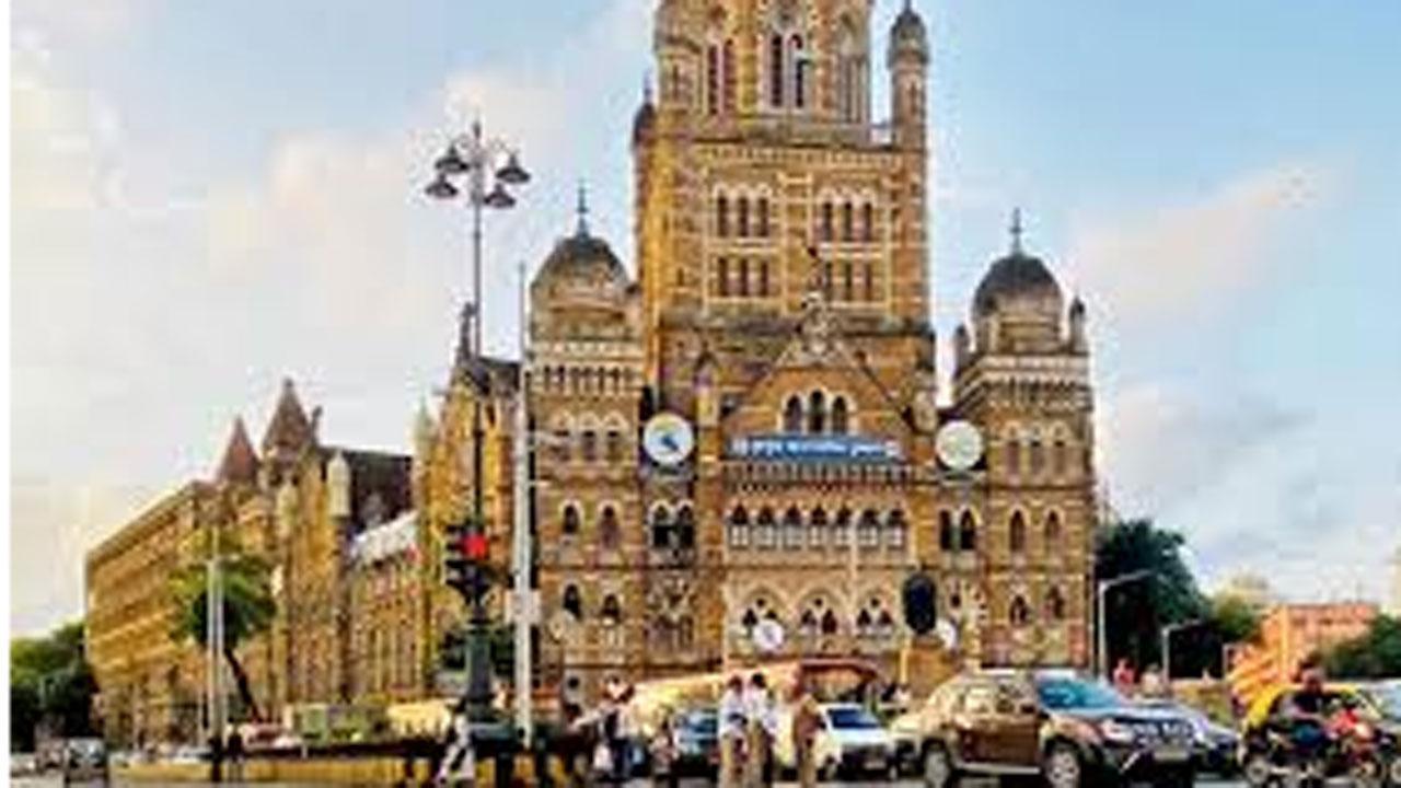 પ્રતીકાત્મક તસવીર