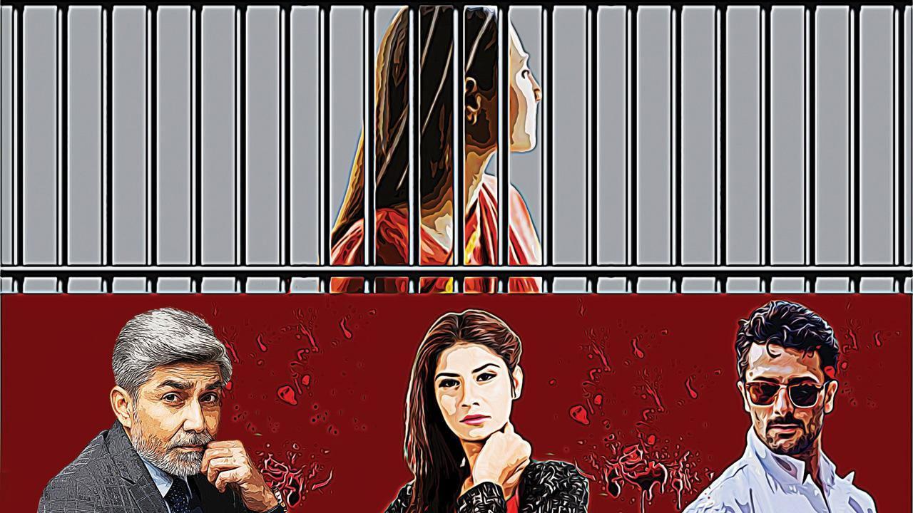 પ્રતીકાત્મક તસવીર