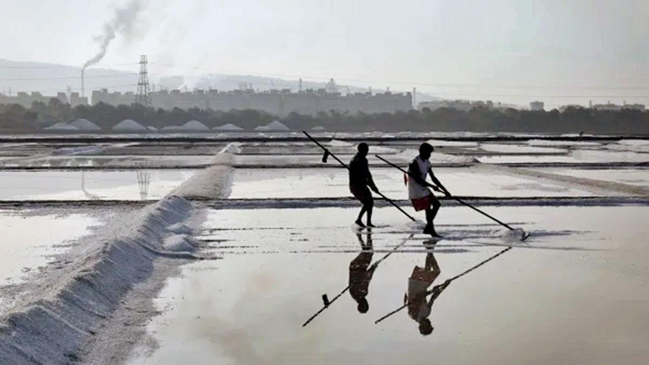 મીઠાના અગર