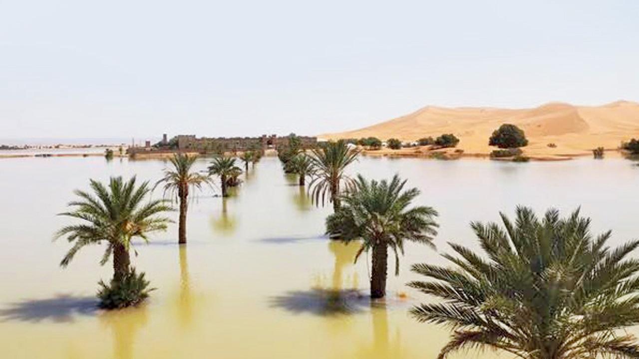 રણ તળાવમાં ફેરવાઈ ગયું