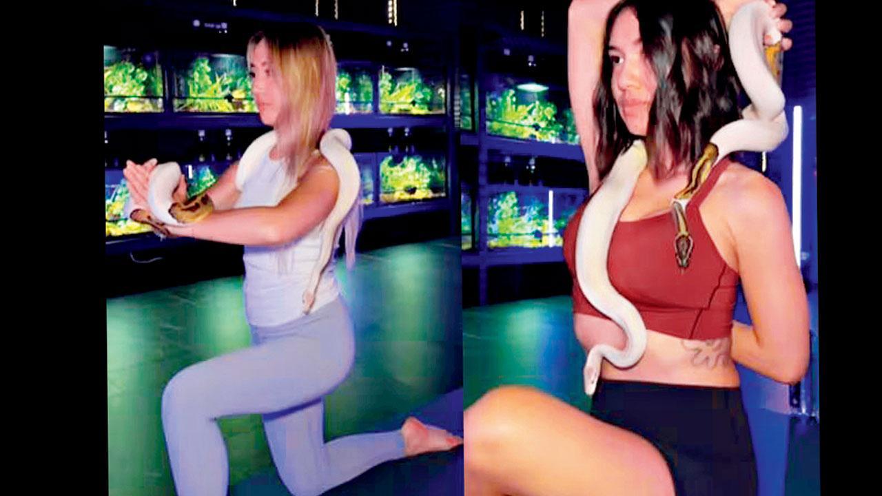 વાયરલ વીડિયોમાંથી સ્ક્રીન શૉટ