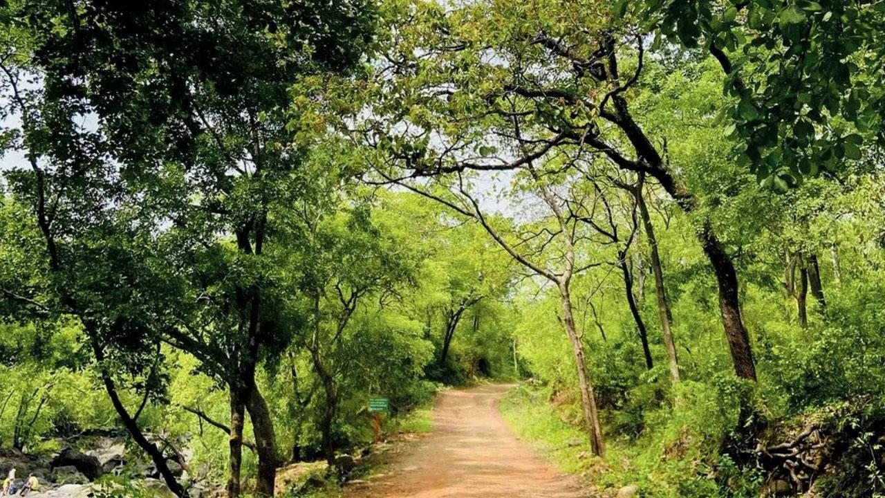 પ્રતીકાત્મક તસવીર