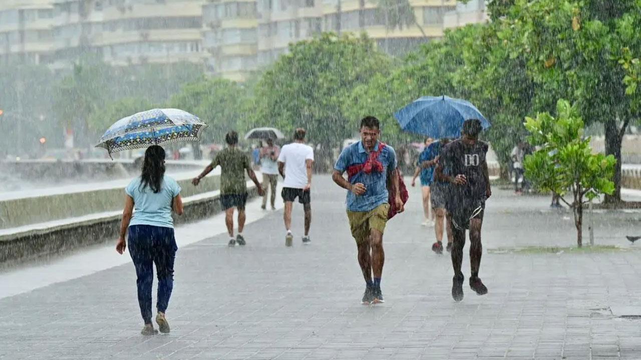 વરસાદી માહોલની પ્રતીકાત્મક તસવીર
