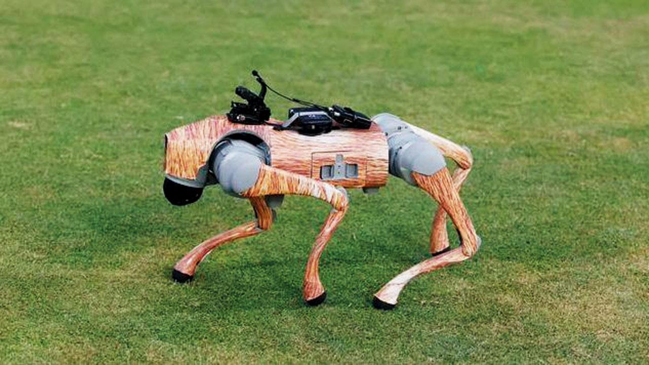 IPL 2025: Cricket Fans names Broadcasting Robot Dog Champak on online poll