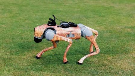 IPL 2025: Cricket Fans names Broadcasting Robot Dog Champak on online poll