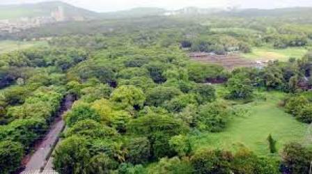 પ્રતીકાત્મક ફાઈલ તસવીર