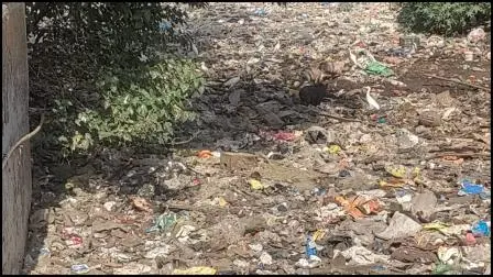આયોજકો દ્વારા જાહેર કરાયેલી તસવીરો