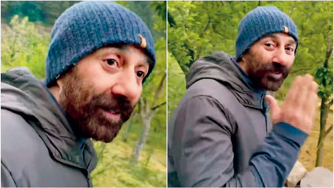 સની દેઓલ