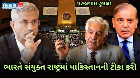 ભારતે UNમાં પાકિસ્તાનને ખ્વાજા આસિફની આતંકવાદને ટેકો આપવાની કબૂલાત, પછી...
