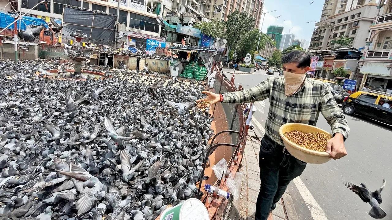 પ્રતીકાત્મક તસવીર